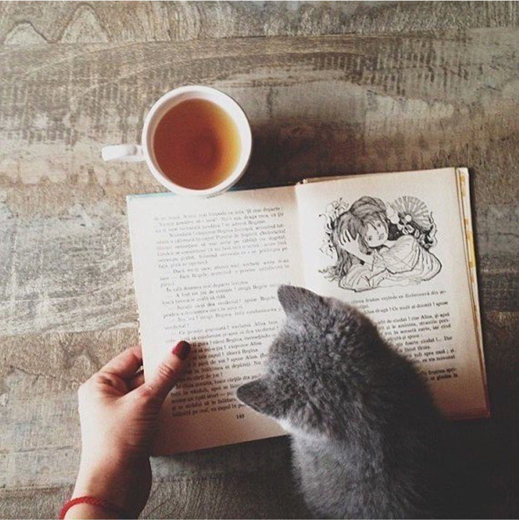 Девушка с книгой и котом